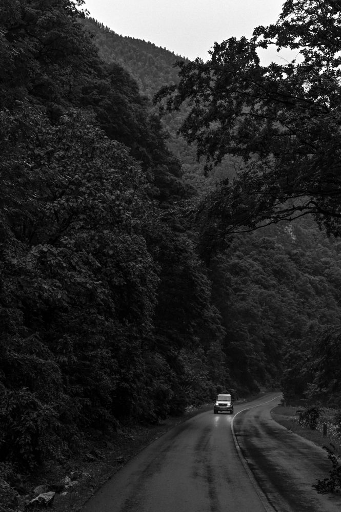 Photograph by Ирина Поремская