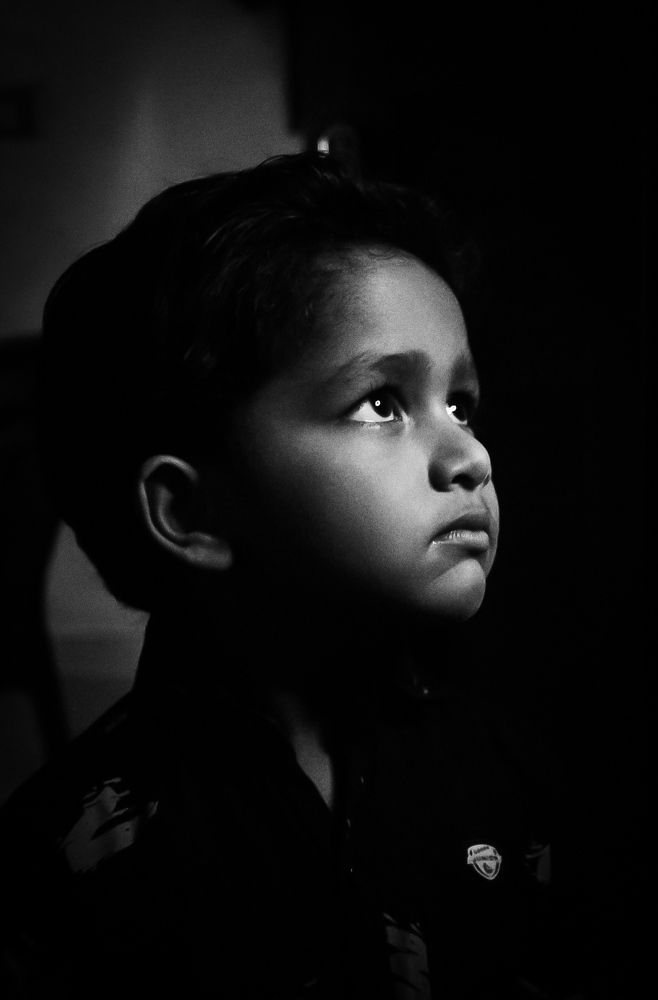 Photo #7710399