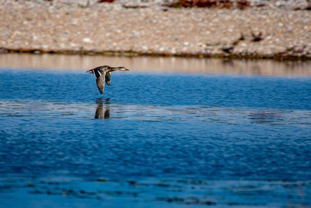 Photograph by Дмитрий