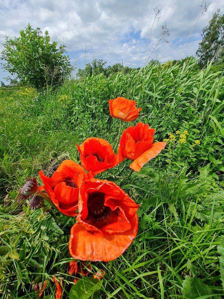 Photograph by Мария Шамина