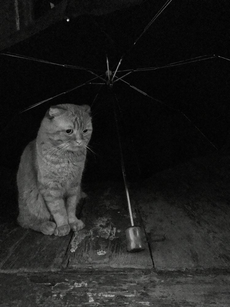 Photograph by Марина Бизяева