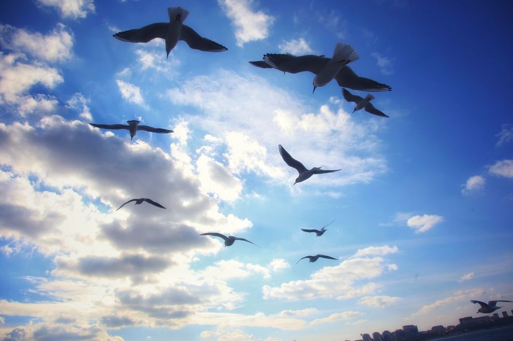 Photograph by Михаил Саидов