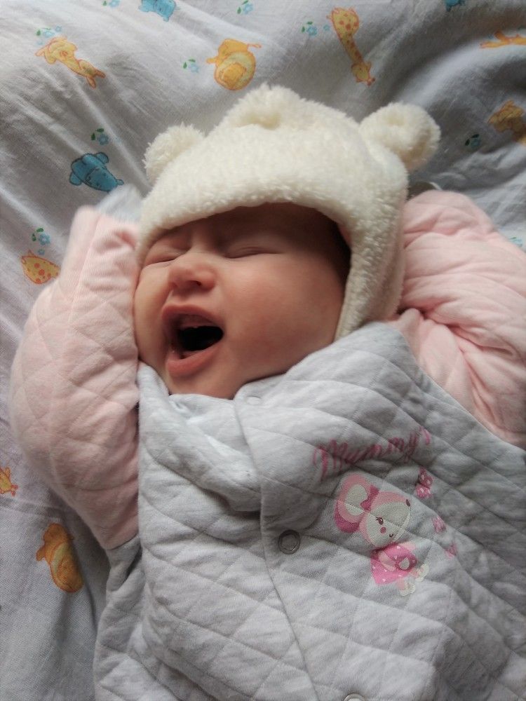 Фотография автора Elena Martynova