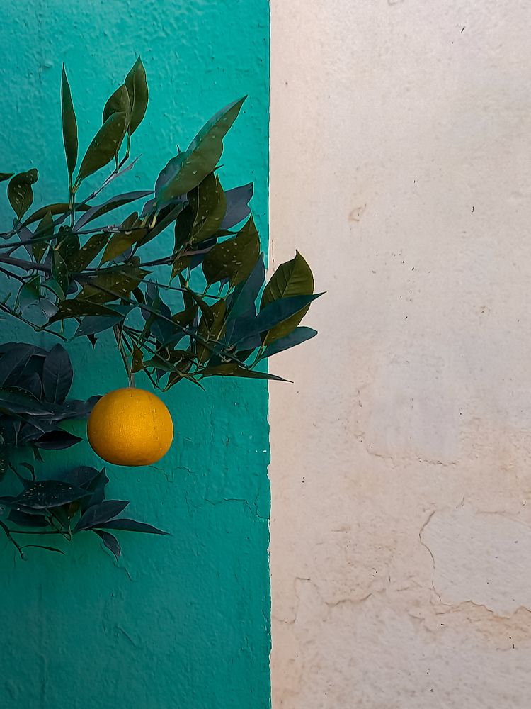 Photograph by Mahdi ghanbari