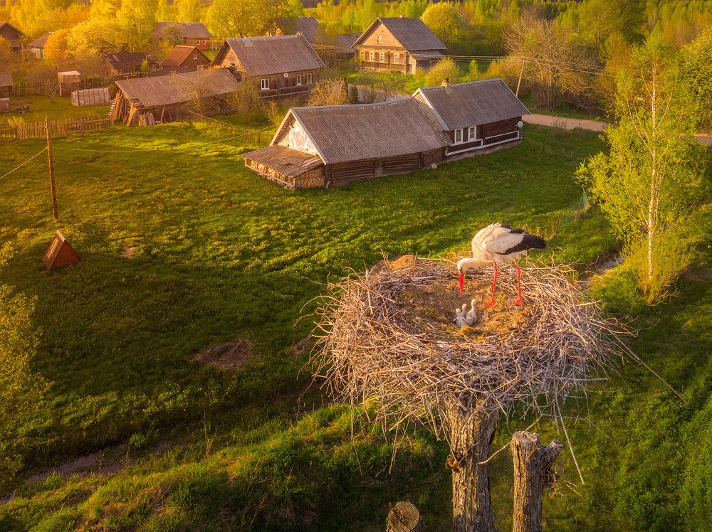 Деревенская идиллия