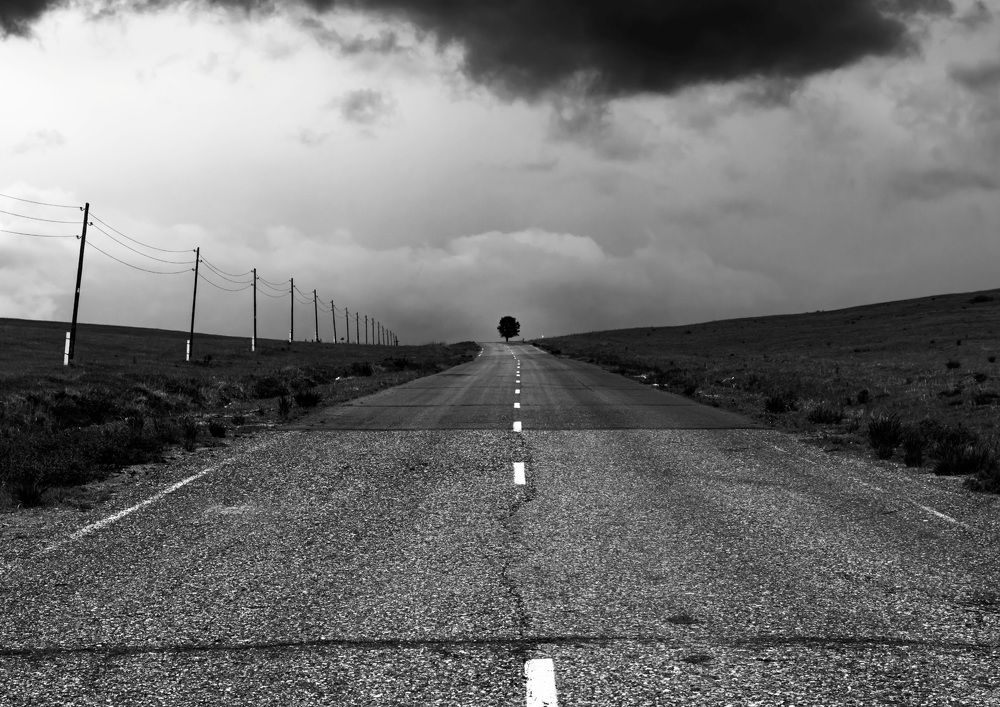 Photograph by Александра Гончаренко Александра Гончаренко