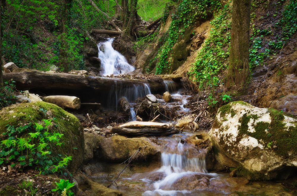 Photograph by Антон Литвин