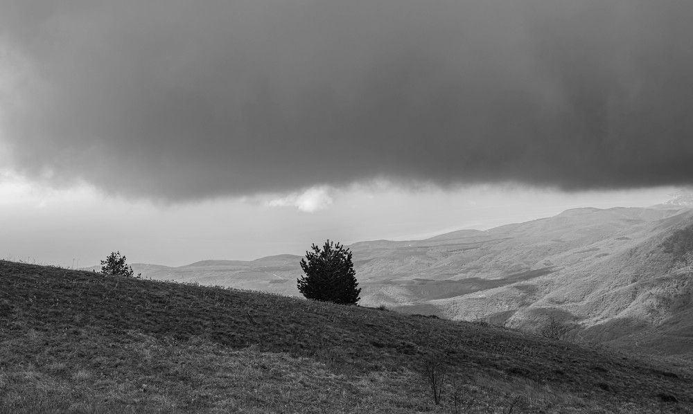 Photograph by Владимир Жигулин