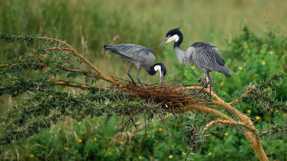 Photograph by Artem Khazov