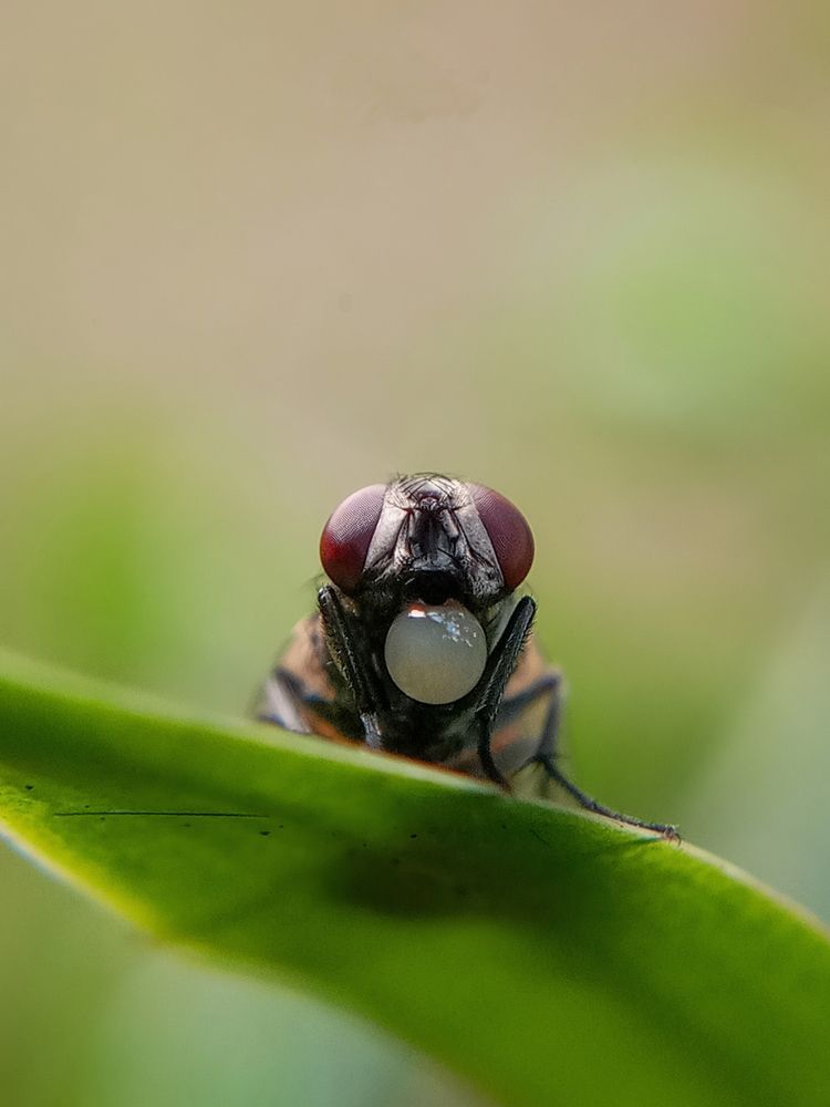 Photograph by Damitha Damitha