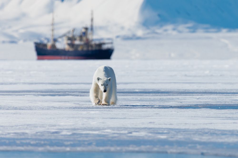Photograph by Ruzdi Ekenheim