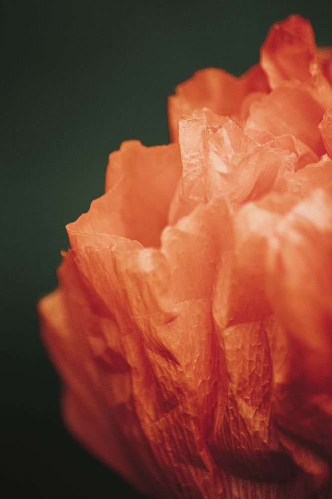 Photograph by Антон Хаткевич