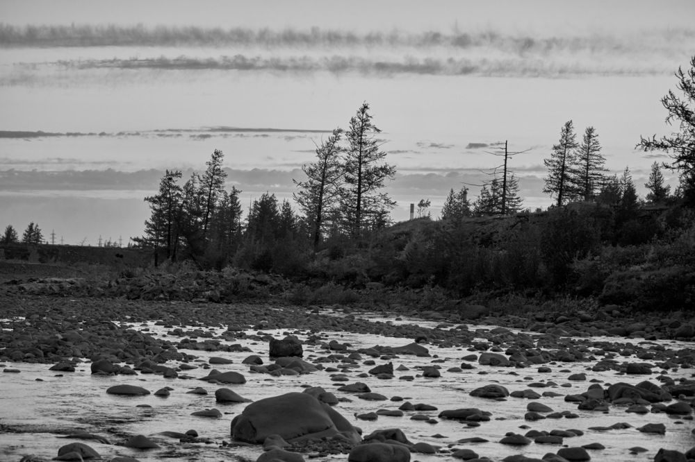 Photograph by Алексей Швецов