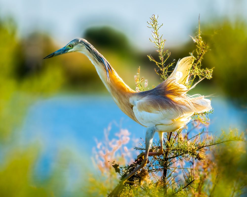 Photograph by Francisco José López Fernández