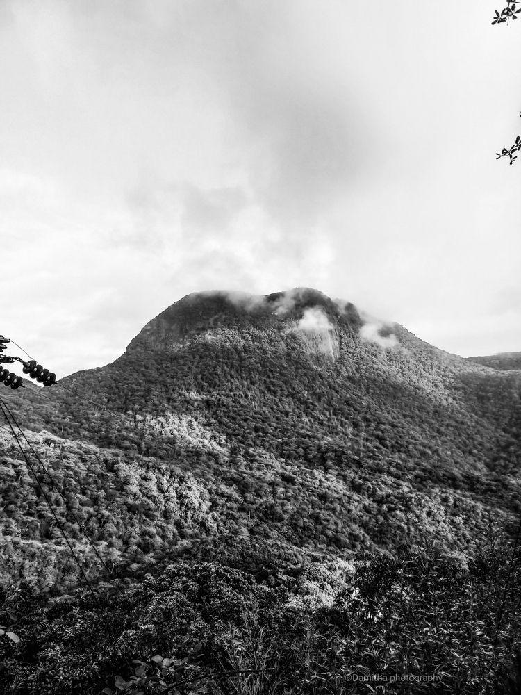 Photograph by Damitha Damitha