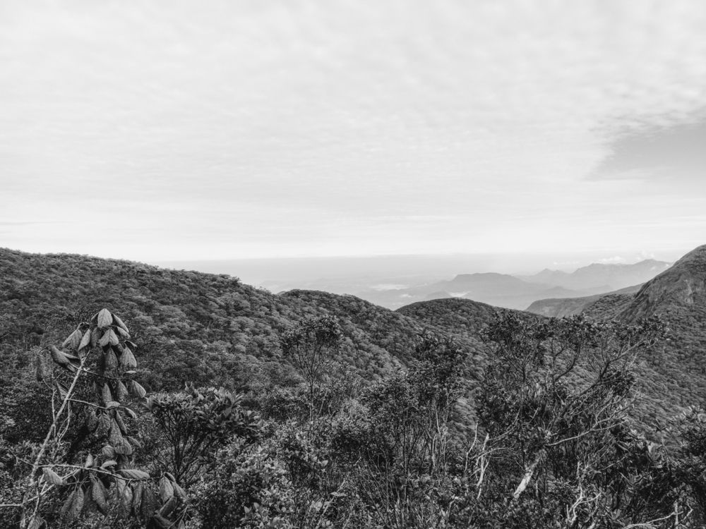 Photograph by Damitha Damitha