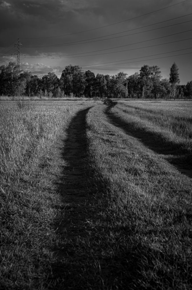 Photograph by Евгений Крюков