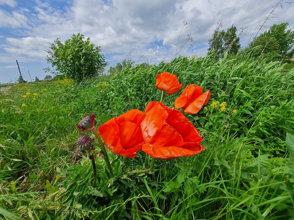 Photograph by Мария Шамина