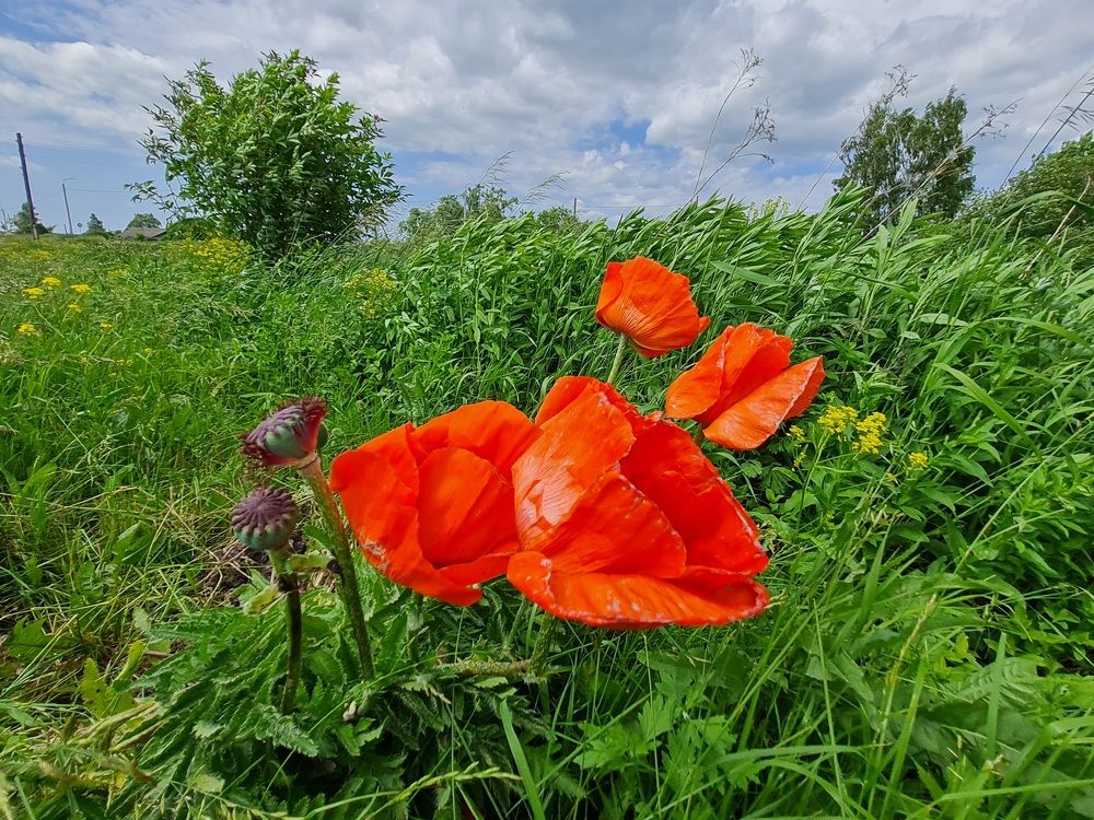 Photograph by Мария Шамина