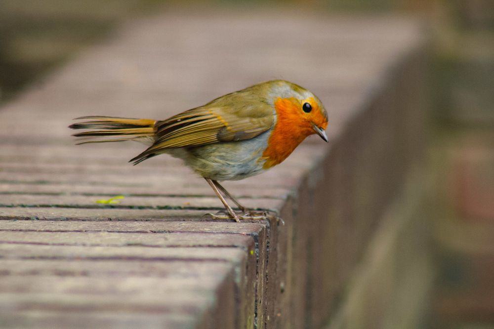 Photograph by Александр