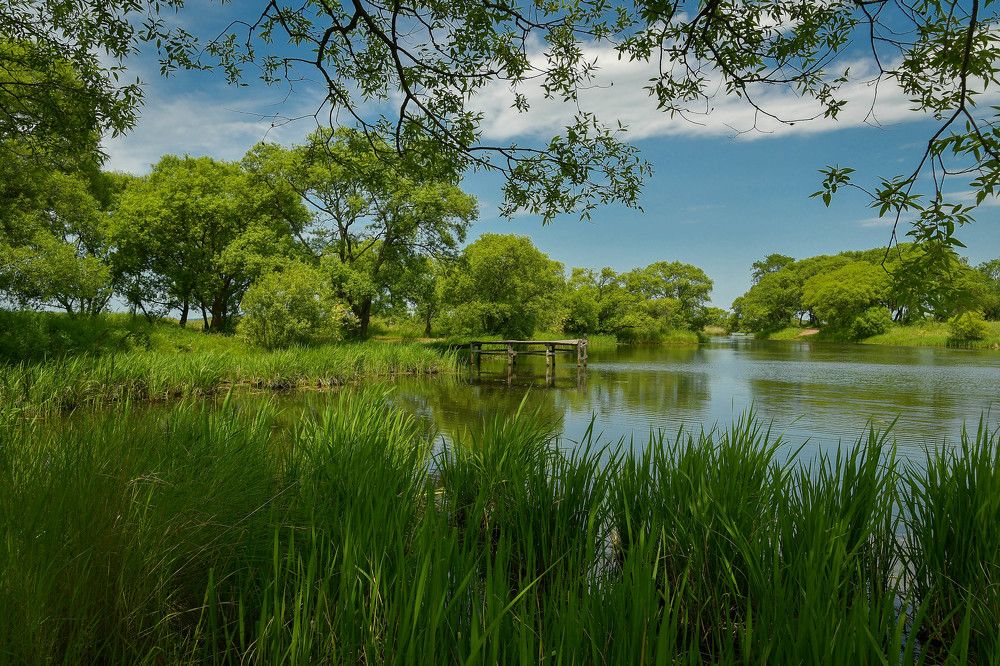 Photograph by Олег Волков