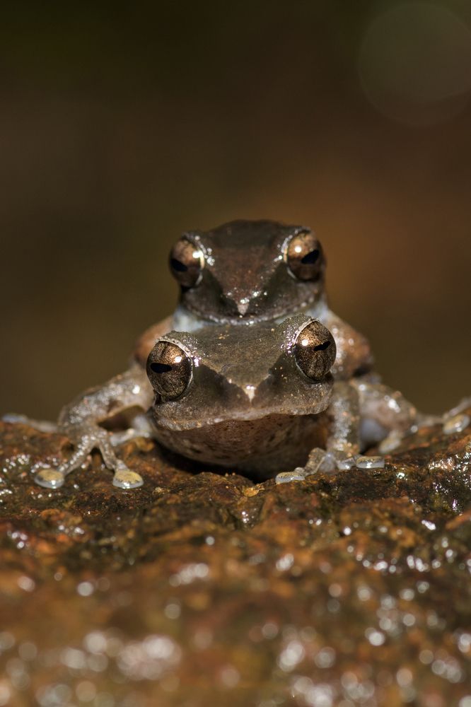 Photograph by Sooraj Rajan Sugandhamony