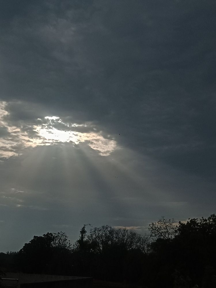Photo #7710980