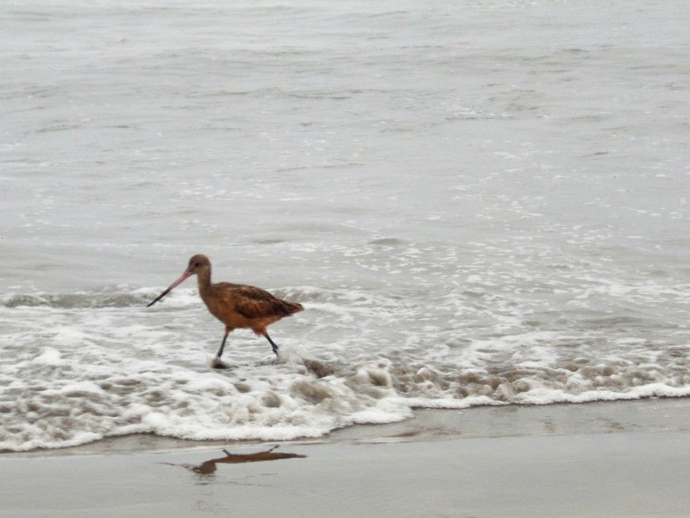 Photograph by José Luis Mendoza Machado