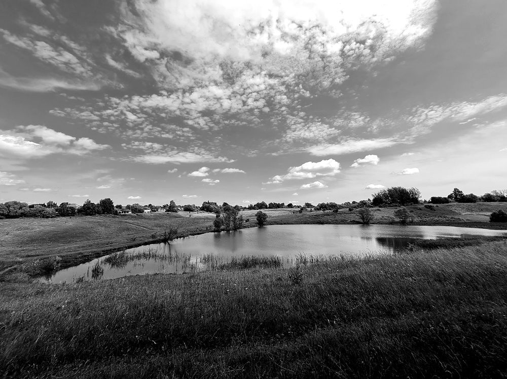 Photograph by Мария Шамина