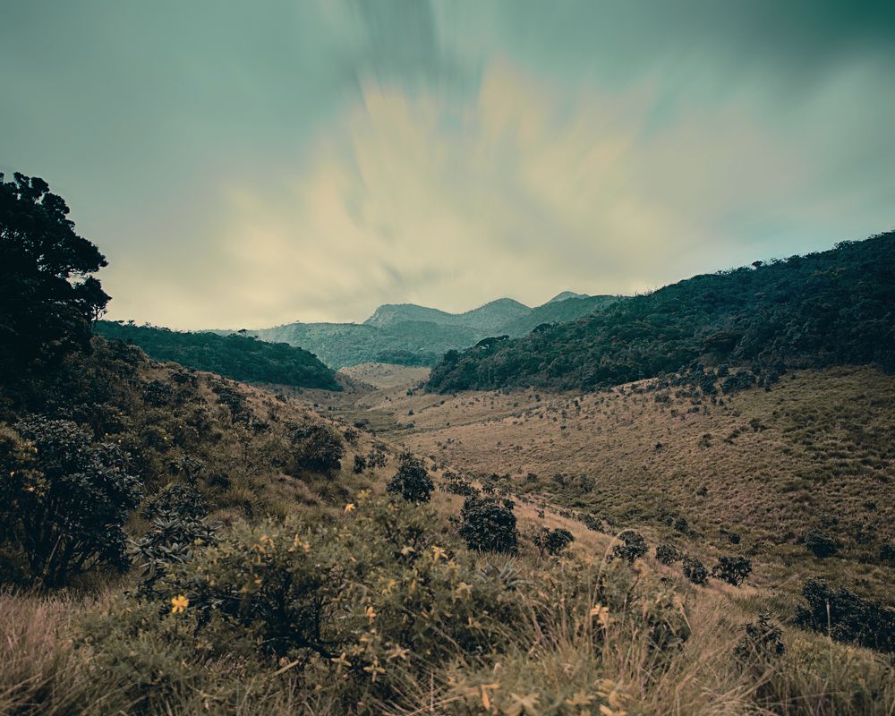 Photograph by Isuru Akalanka