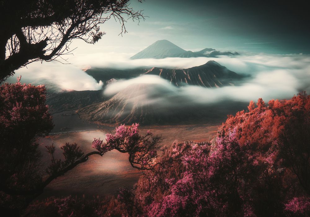 Photograph by Satryo Tryra