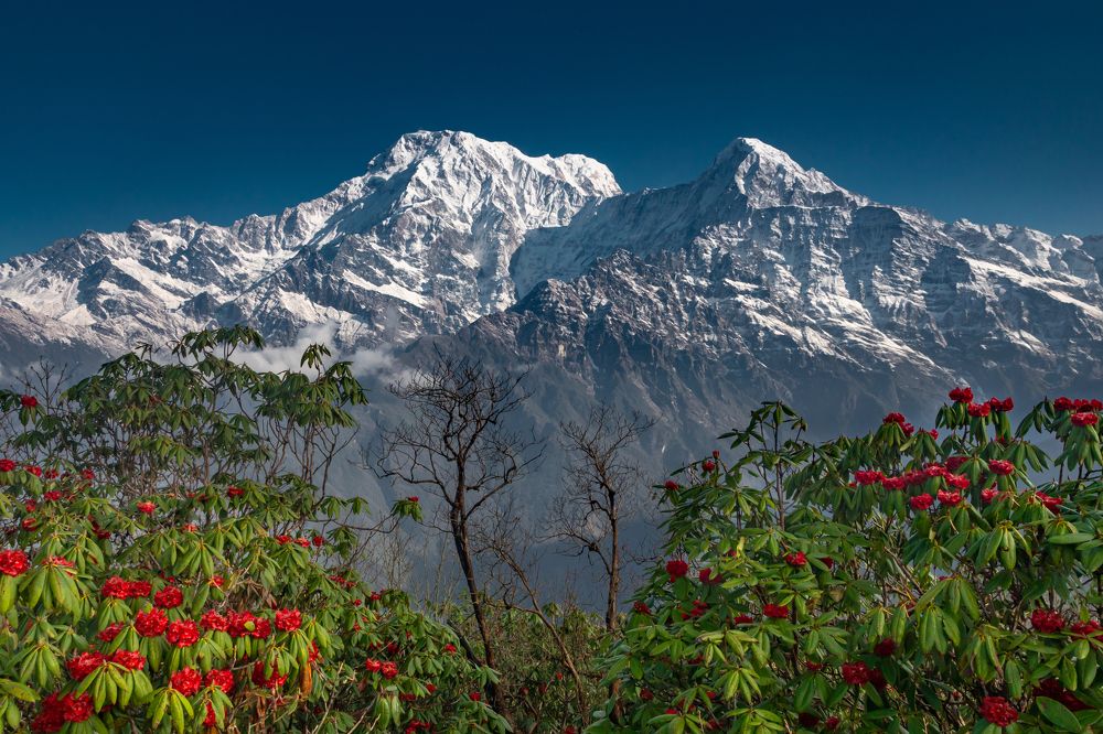 Photograph by Сергей Гук