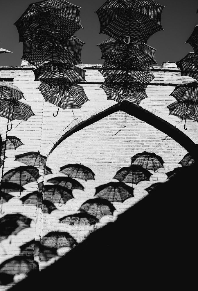 Photograph by Mahsa Abdi