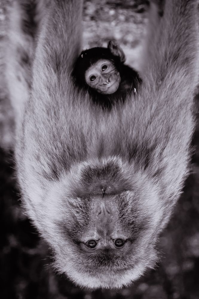 Photograph by Soufiane El Kadaoui