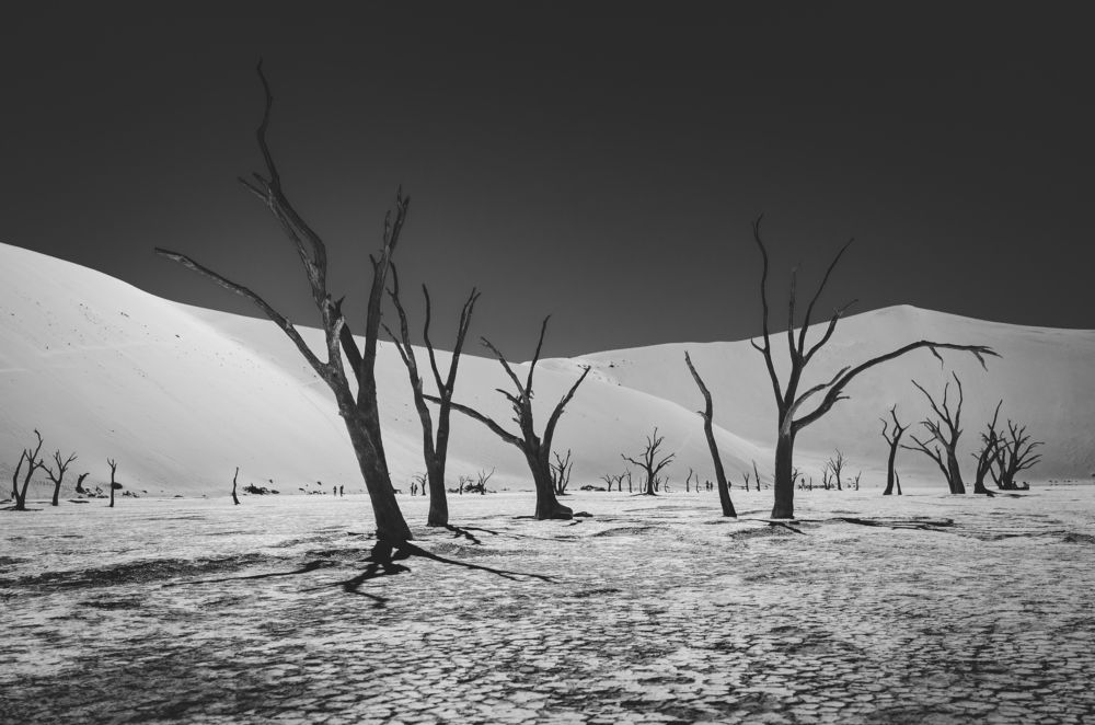 Photograph by Дмитрий Николаев