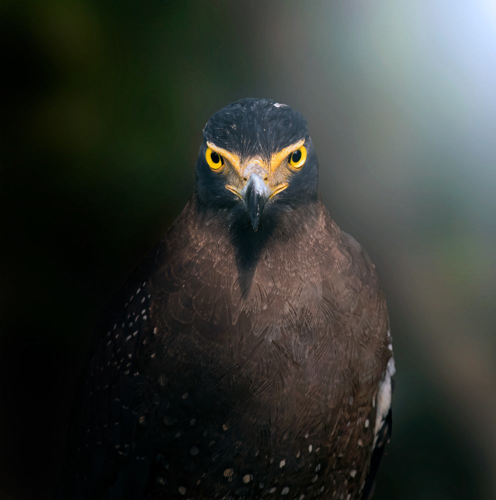 Photograph by Amrit Raj Sarkar