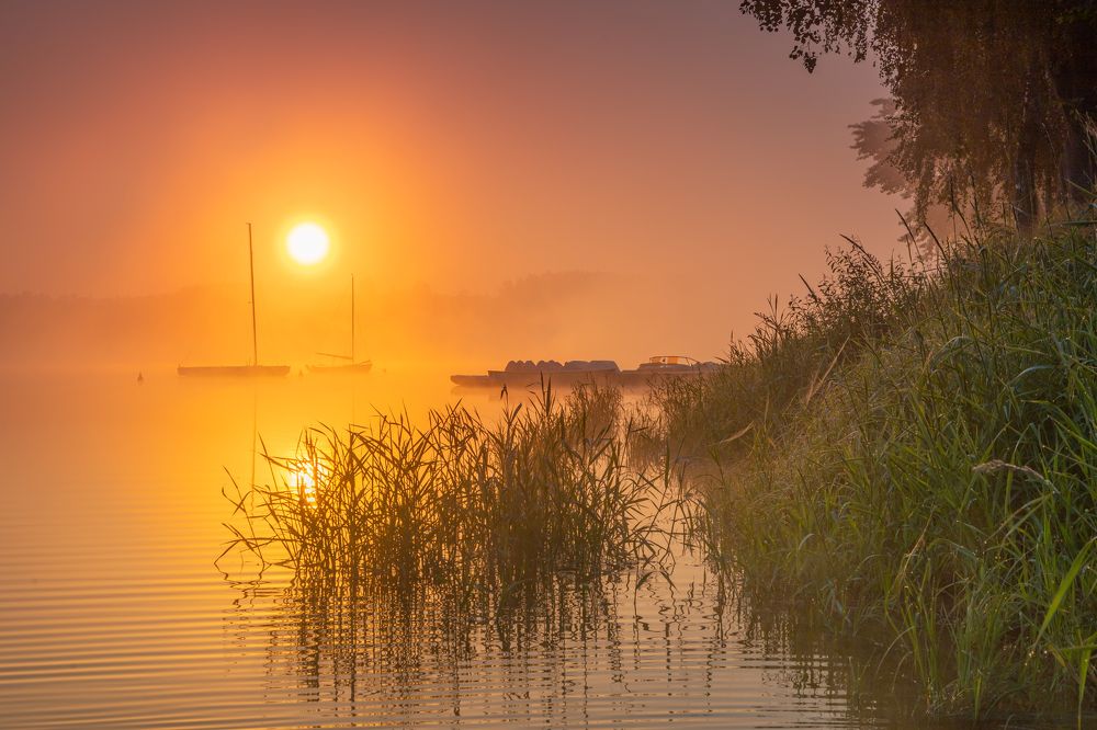 Photograph by Сергей Гук