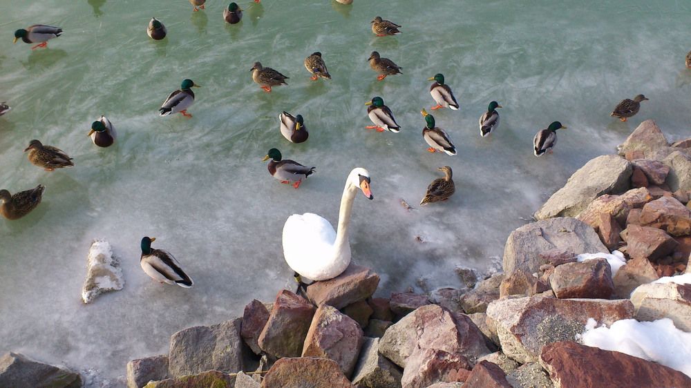 Photograph by Marina Razheva