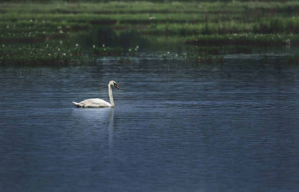 Photograph by Наталья Бондарева