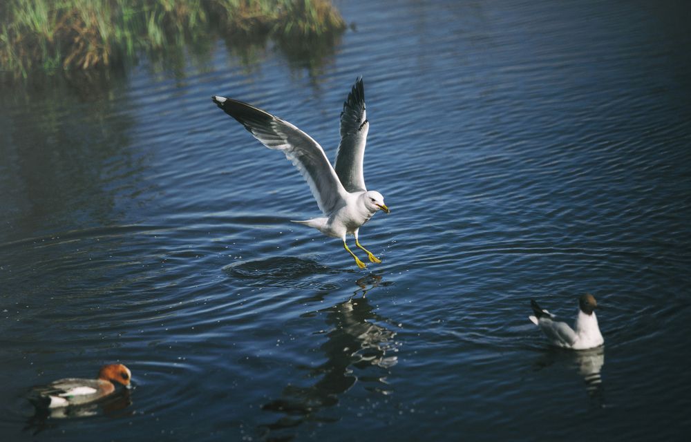 Photograph by Наталья Бондарева