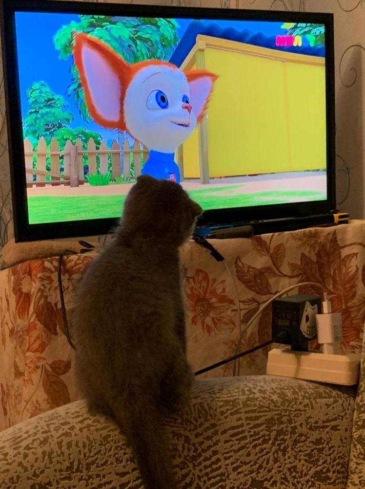 Photograph by Злата Иванченко