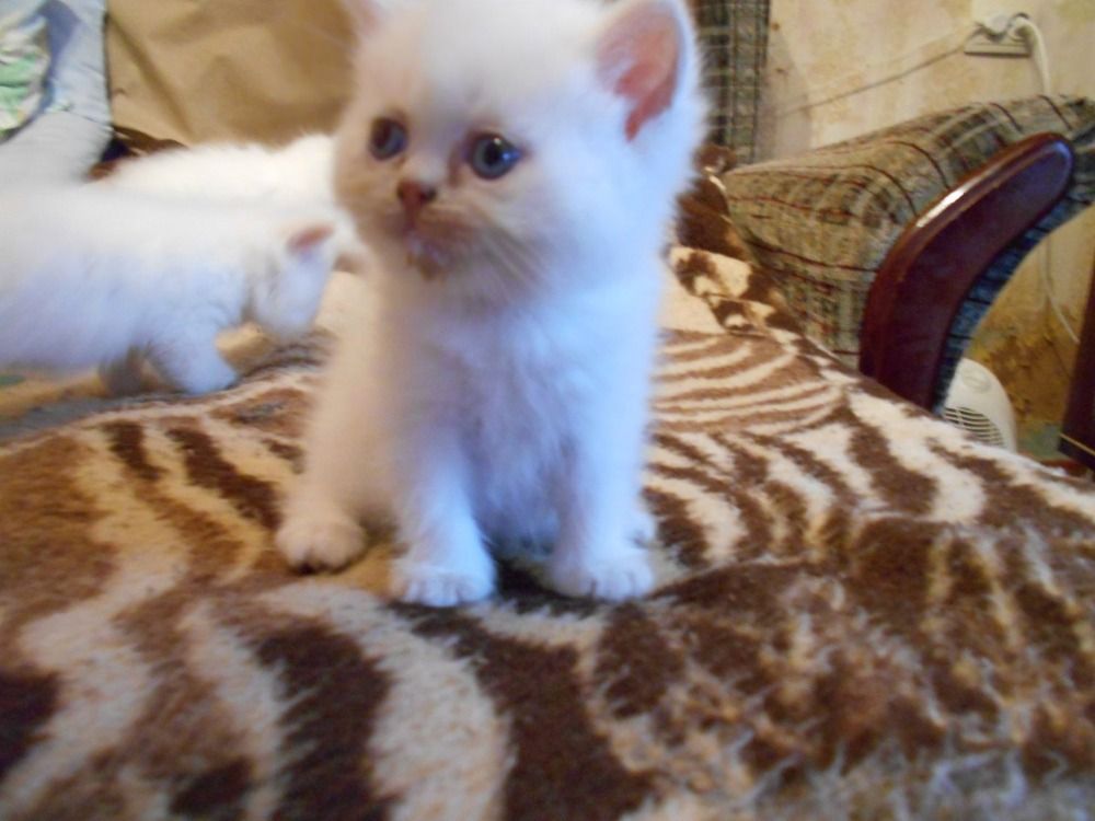 Photograph by Злата Иванченко