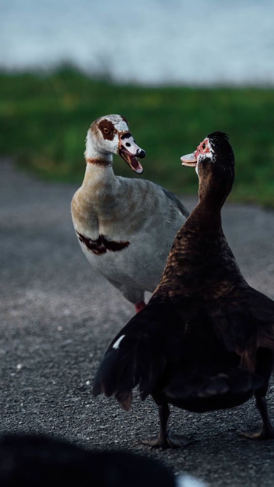 Photograph by Jorge Ortega