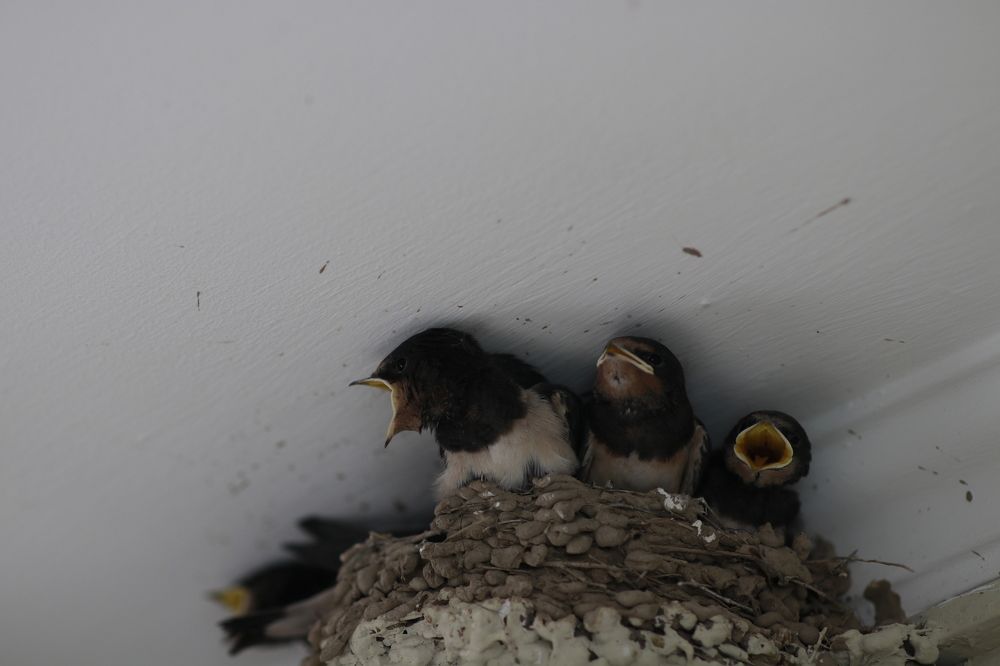 Photograph by Виктория Пономарева