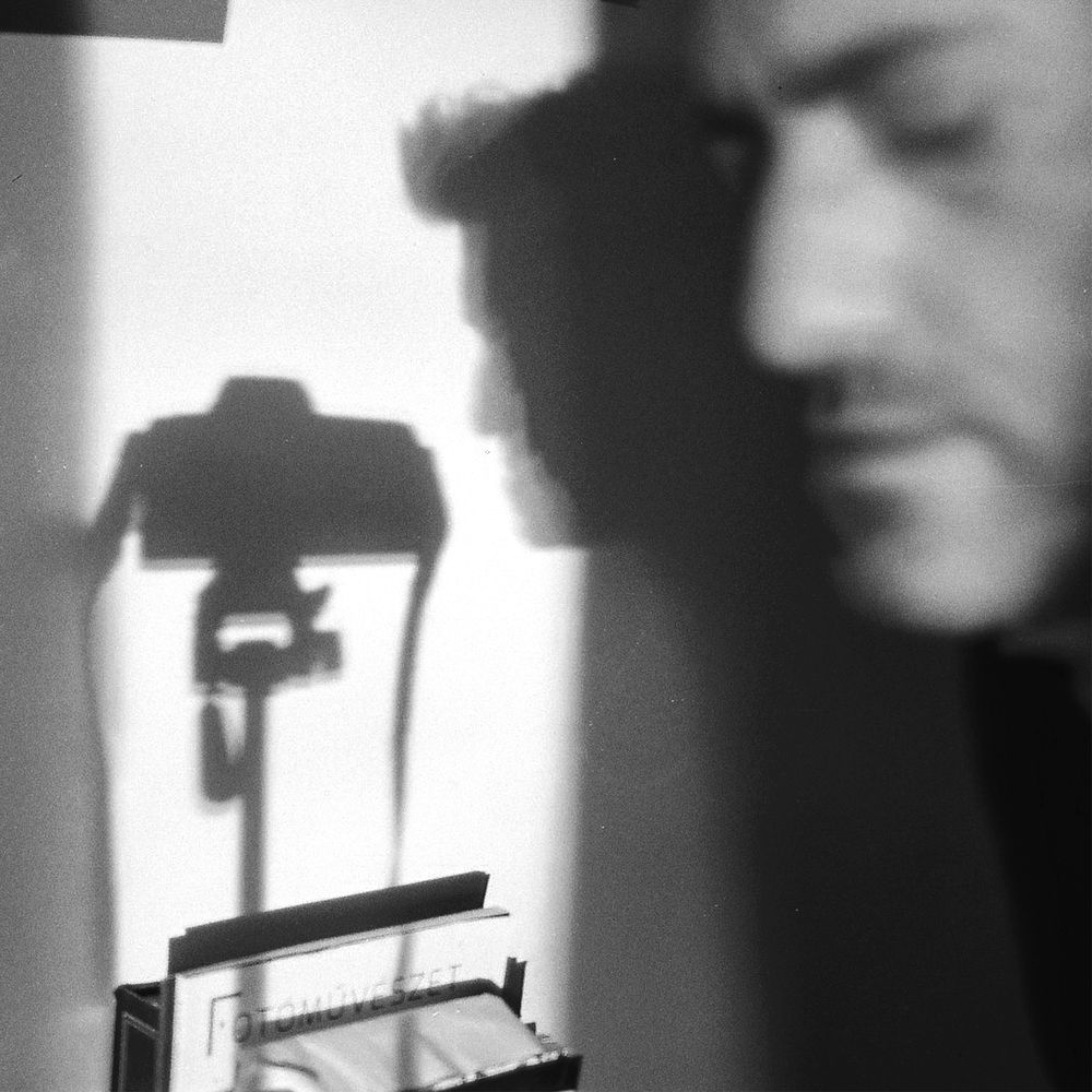 Photo #7711362