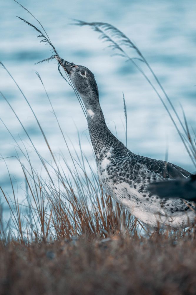 Photograph by Jorge Ortega