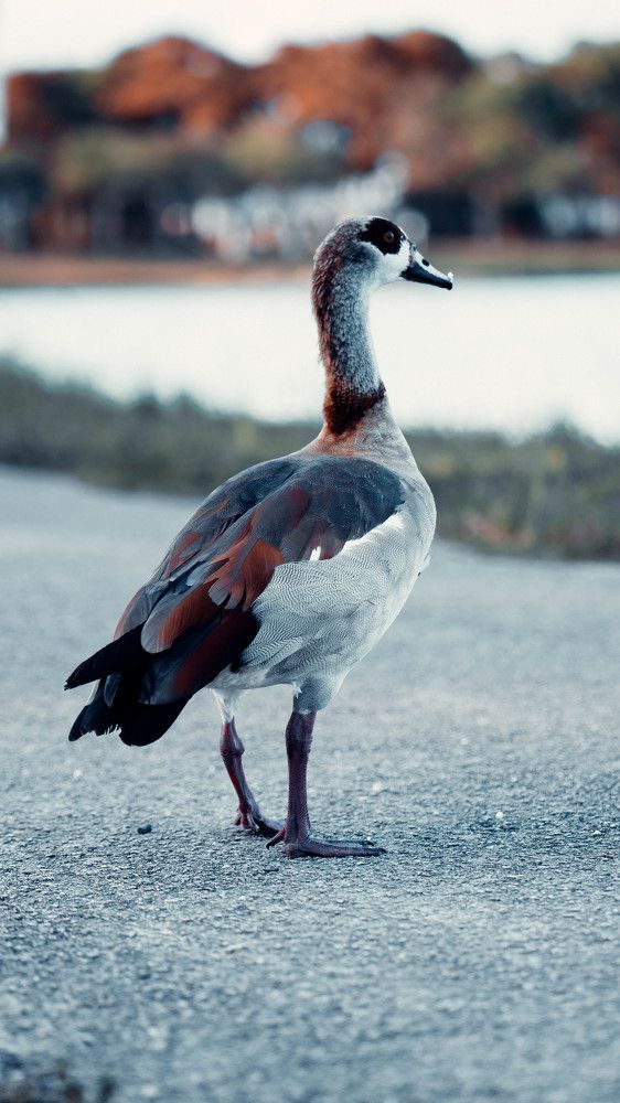 Photograph by Jorge Ortega