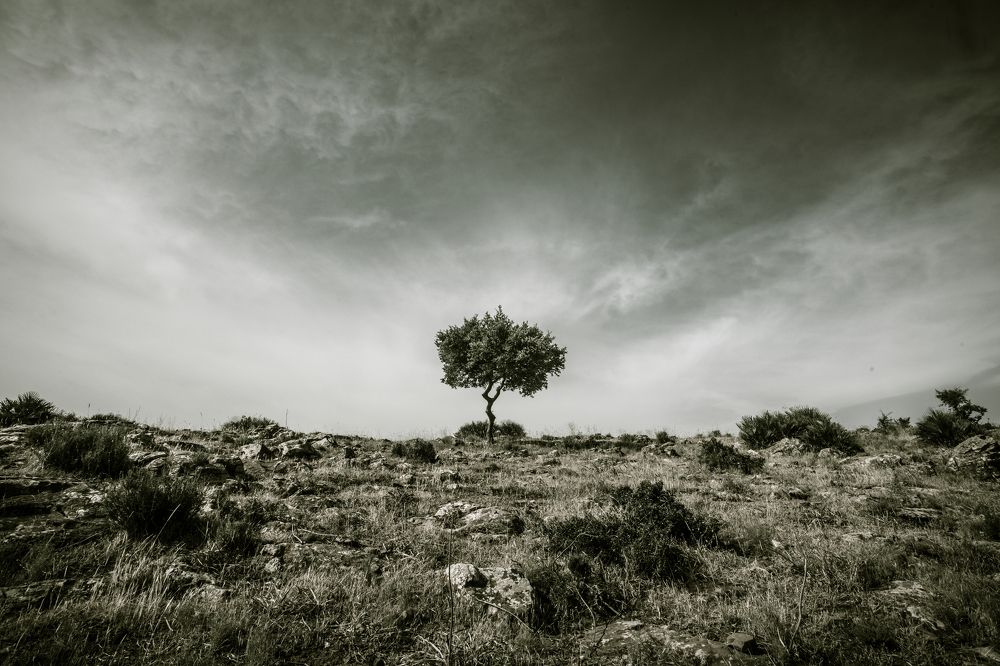 Photograph by Soufiane El Kadaoui