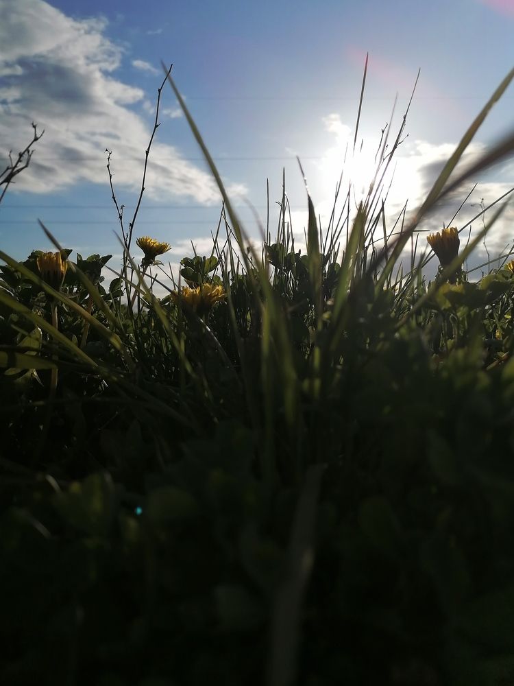 Photograph by Анастасия Аюшева