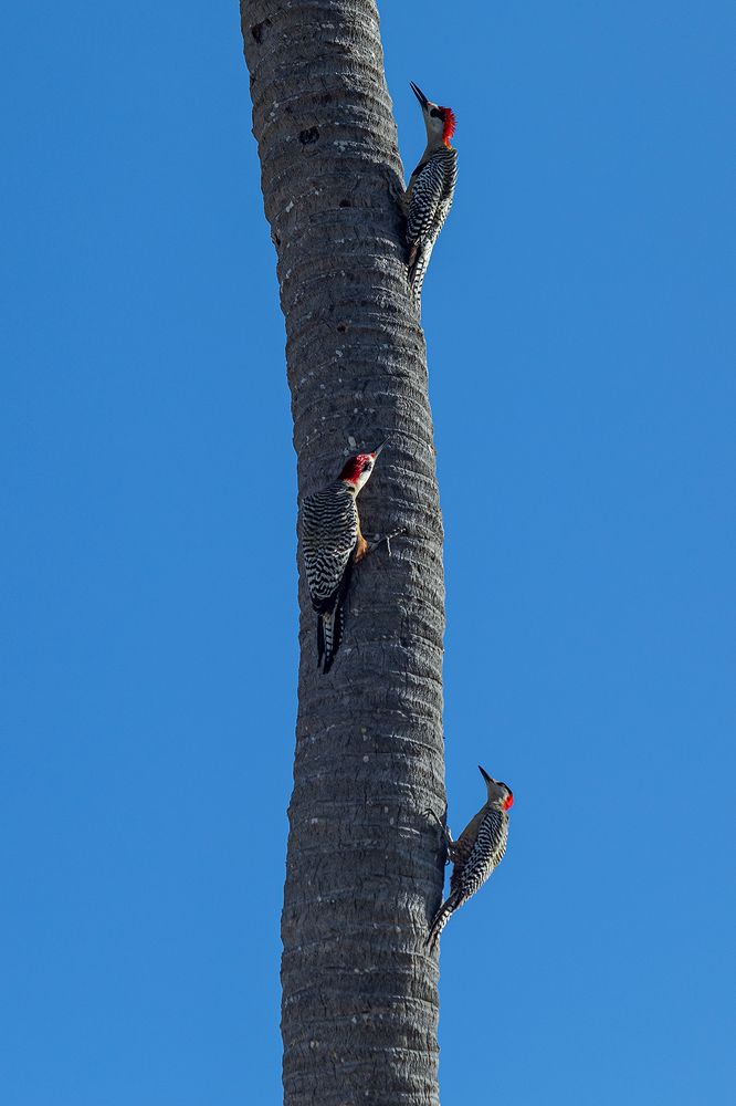 Photograph by Argel Ernesto González Alvarez